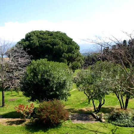 Vakantiehuis House With 2 Bedrooms In Calvi With Wonderful Sea View Enclosed Garden And Wifi 700 M From The Beach Calvi (Corsica)