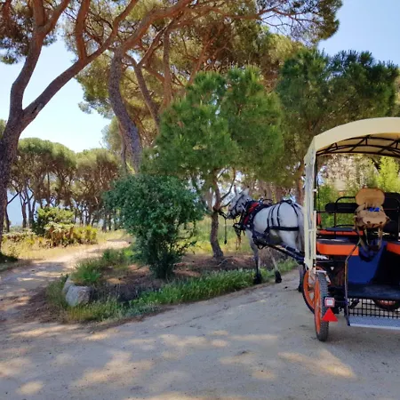 House With 2 Bedrooms In Calvi With Wonderful Sea View Enclosed Garden And Wifi 700 M From The Beach * Calvi (Corsica)